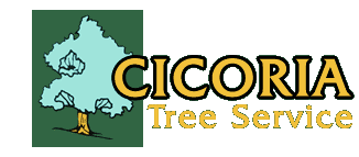 Cicoria Tree & Crane Service, Inc. Logo
