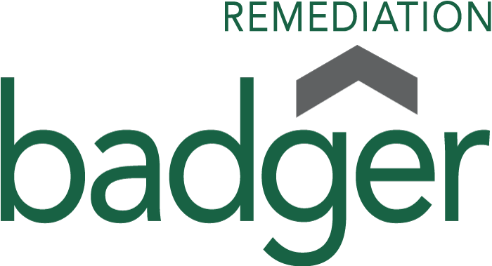 Badger Remediation Services, Inc. Logo