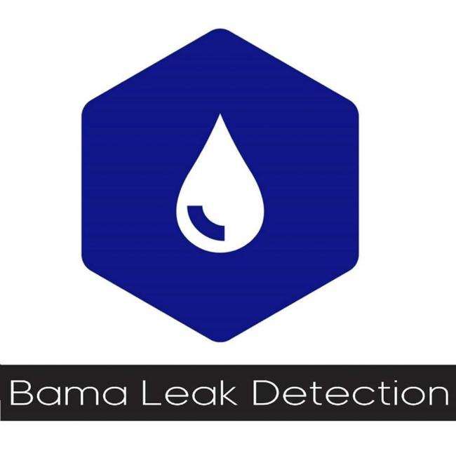 Bama Leak Detection LLC Logo