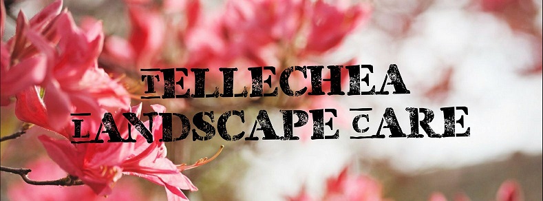 Tellechea Landscape Care Logo