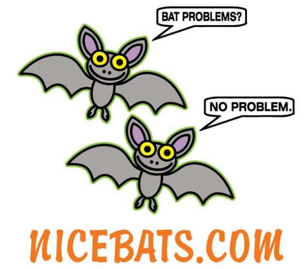 Nice Bats Logo