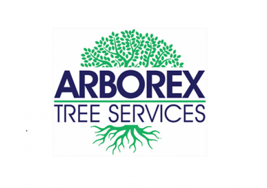 Arborex Tree Services, LLC Logo