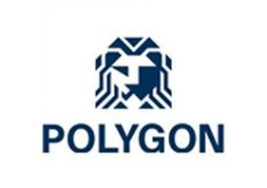 Polygon Homes Logo