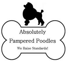 Absolutely Pampered Poodles LLC Logo