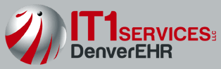 IT1 Services L.L.C. Logo