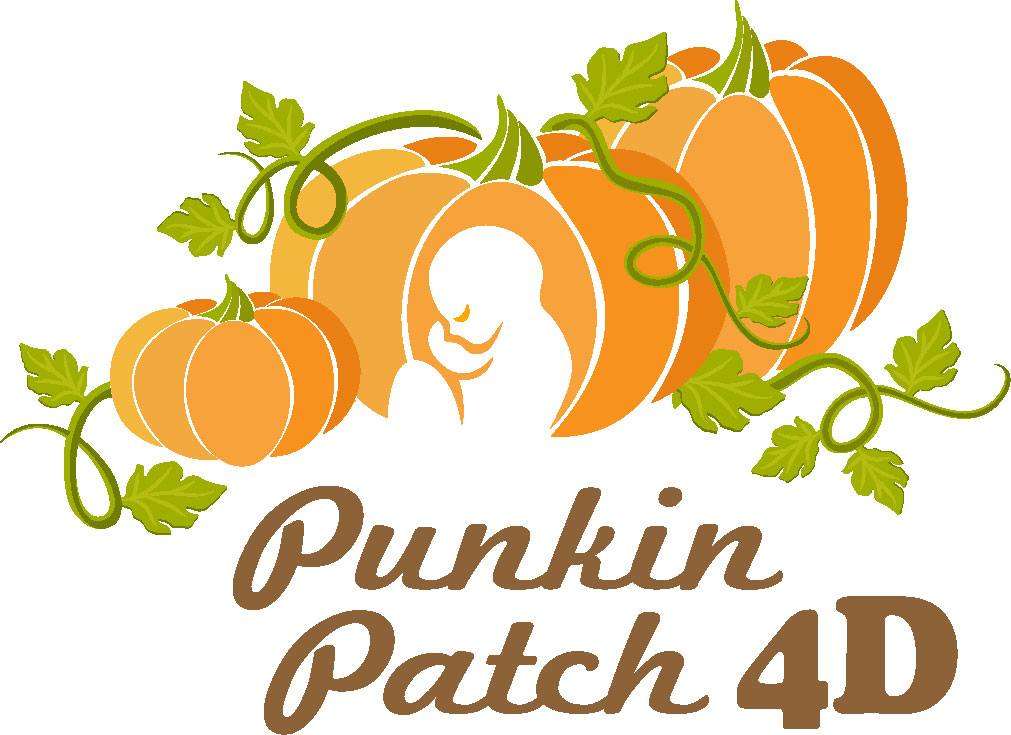 Punkin Patch 4D Logo