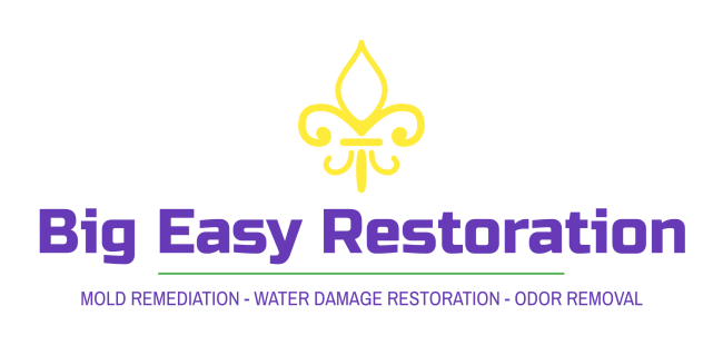 Big Easy Restoration Logo