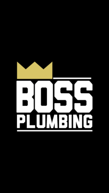 Boss Plumbing Ltd. Logo