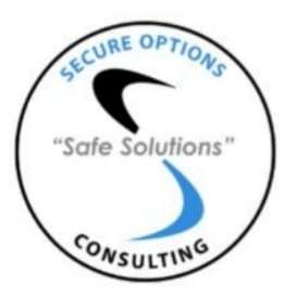Secure Options Consulting, LLC Logo