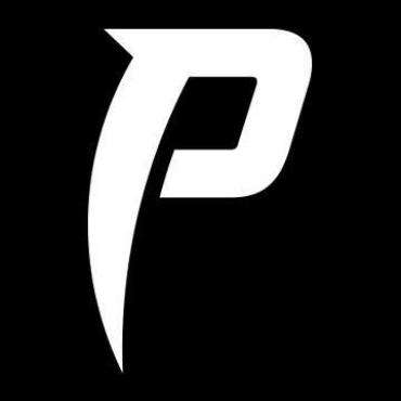 Panther Graphics Logo