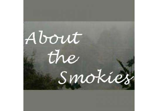 All About The Smokies Cabin Chalet Rentals Better Business