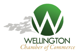 Greater Wellington Chamber Logo