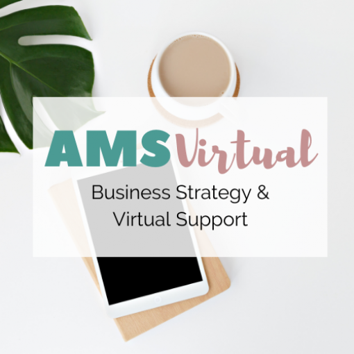 AMS Virtual, LLC Logo