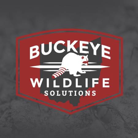 Buckeye Wildlife Solutions Logo