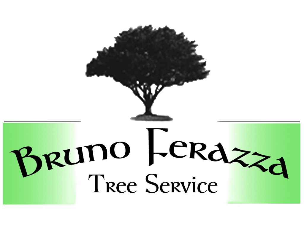 Ferazza, Bruno  Tree Service Logo