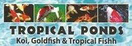 Tropical Ponds Logo