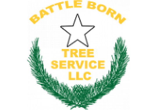 Battle Born Tree Service, LLC Logo