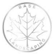 Base Landscaping Logo