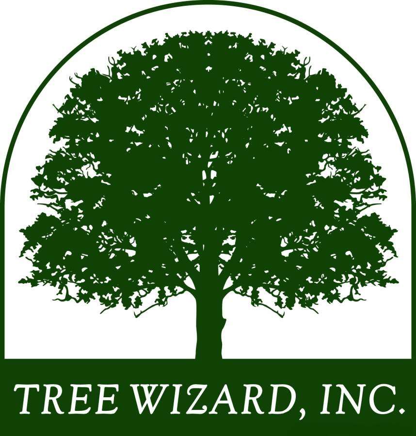 Tree Wizard, Inc. Logo