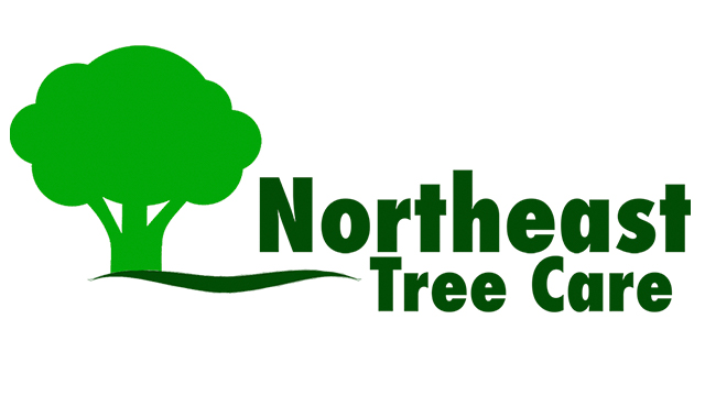 Northeast Tree Care Logo