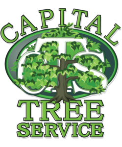 Capital Tree Service Inc. Logo