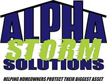 Alpha Storm Solutions, Inc. Logo