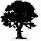 Takoma Tree Experts, LLC Logo