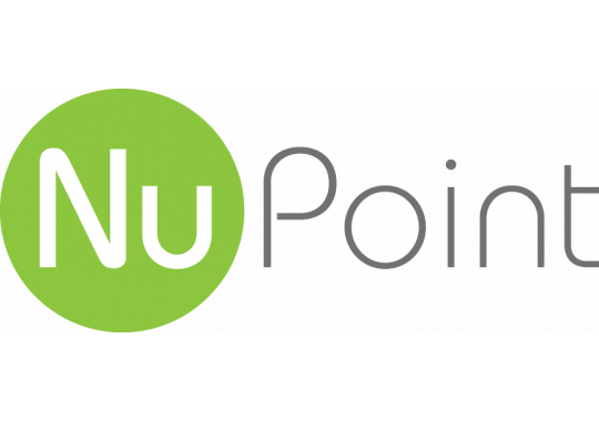 NuPoint Services, LLC Logo