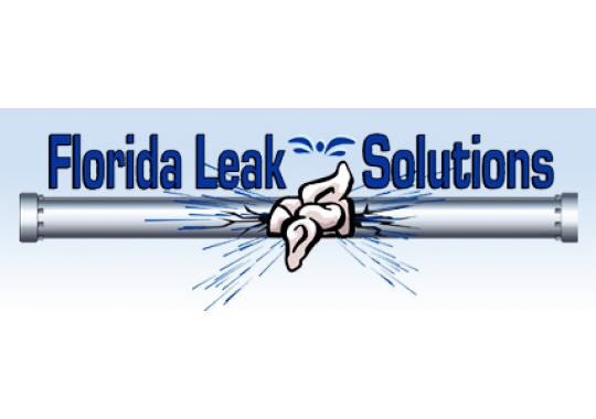 Florida Leak Solutions, Inc. Logo