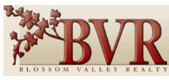 Blossom Valley Realty and Financial, Inc. Logo