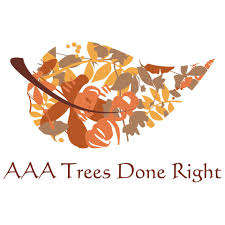 AAA Trees Done Right Inc Logo