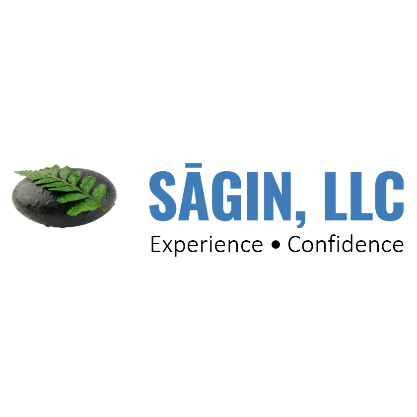 Sagin, LLC Logo