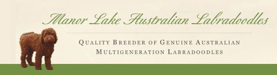 Manor Lake Australian Labradoodles Logo