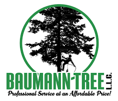 Baumann Tree LLC Logo