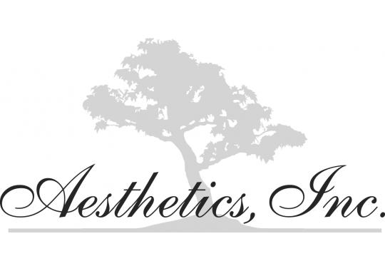 Aesthetics, Inc. Logo