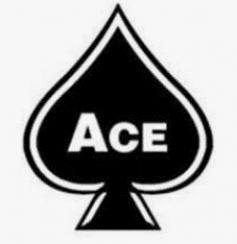 Ace Exterminating Company, Inc. Logo