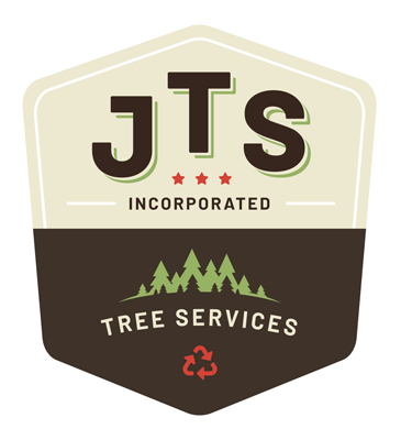 JTS, Inc. Logo