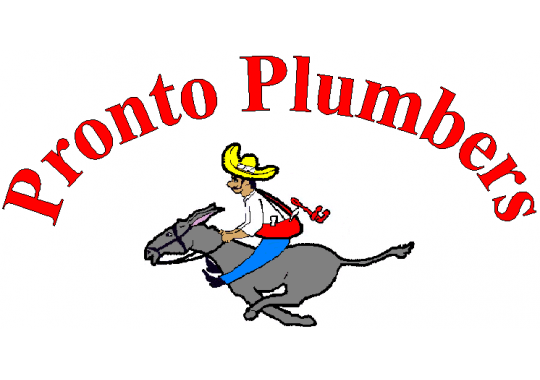 Pronto Plumbers Inc Logo