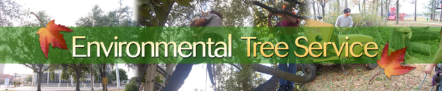 Environmental Tree Service Logo