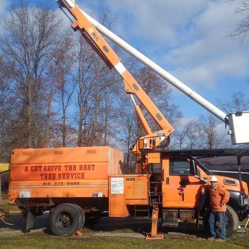 A Cut Above the Rest Tree Service Logo