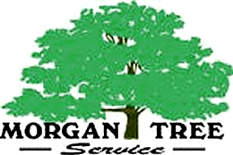 Morgan Tree Service Logo
