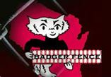 Badger Fence Logo