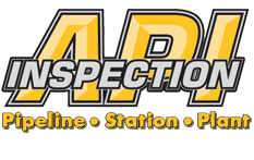 Audie Price Inspection, Inc. Logo