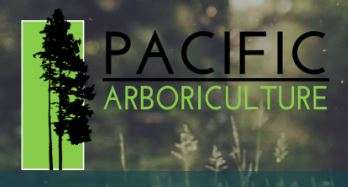 Pacific Arboriculture  Logo