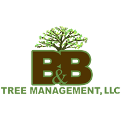 B&B Tree Management LLC Logo