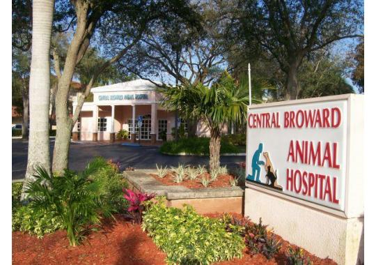 Central Broward Animal Hospital Logo