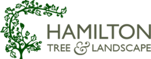 Jeffrey S. Hamilton Tree & Landscape, Inc. Logo