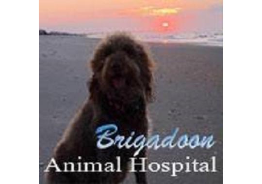 Brigadoon Animal Hospital Logo