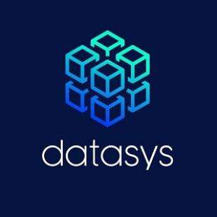 Datasys Group, Inc. Logo