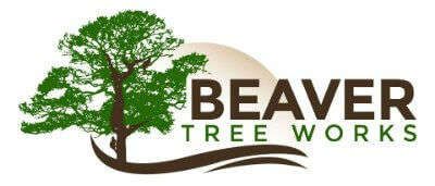 Beaver Tree Works, LLC Logo